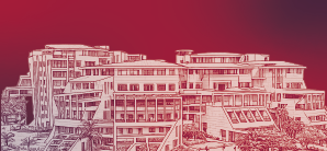 Key Reasons Students Prefer DY Patil Online MBA Over Other Universities
